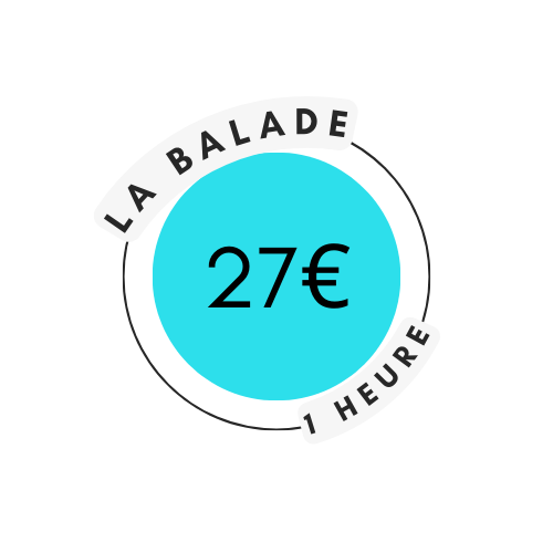 prix balade de chiens